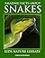 Amazing Facts About Snakes (Kids Nature Library Book 1)