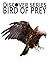 Birds of Prey: Discover Series Picture Book for Children (Kindle Kids Library)