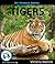 My Favorite Animal: Tigers