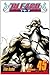 Bleach, Vol. 45: The Burnou...