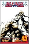 Bleach, Vol. 45: ...