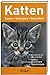 Katten: rassen, verzorging, gezondheid