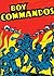 The Boy Commandos, Vol. 1