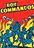 The Boy Commandos, Vol. 1