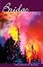 Bridge of Fire (Crossing Bridges Book 22)