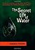 The Secret Life of Water