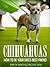 Chihuahuas by Marta Sanchez-Emden Chihuahuas by Marta Sanchez-Emden