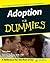 Adoption For Dummies