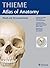 Head and Neuroanatomy (THIEME Atlas of Anatomy) by Michael Schünke