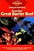 Diving & Snorkeling Australia's Great Barrier Reef by Lonely Planet