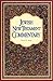 Jewish New Testament Commentary by David H. Stern