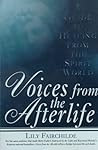 Voices from the Afterlife: A Guide to Healing from the Spirit World