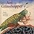 The Ant and the Grasshopper