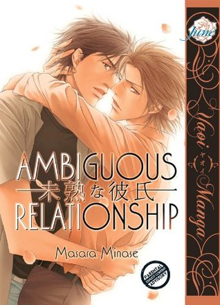 Ambiguous Relationship (Paperback)