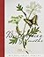 Stumpwork Butterflies & Moths by Jane Nicholas