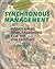 Synchronous Management by Mokshagundam L. Srikanth