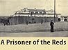A prisoner of the Reds, the story of a British officer captured Siberia