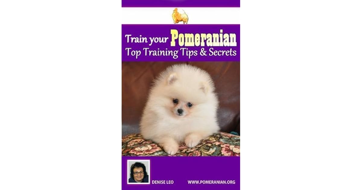 pomeranian housebreaking problems