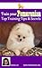 Train your Pomeranian. Top Training Tips and Secrets (The Pomeranian by Breed Authority Denise Leo)