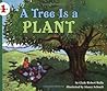 A Tree Is a Plant