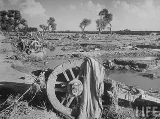 Plea For Rewriting Indian History
