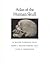 Atlas of the Human Skull by H. Wayne Sampson