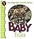 Baby Tiger