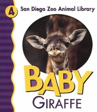 Baby Giraffe (Board Book)