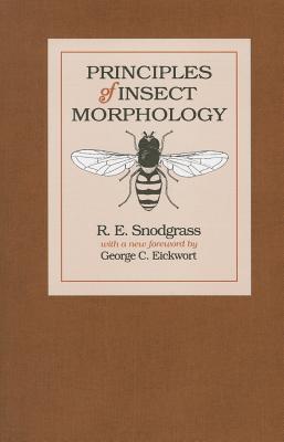 Principles of Insect Morphology (Paperback)