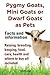 Pygmy Goats, Mini Goats or ...