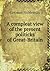 A compleat view of the present politicks of Great-Britain by German Nobleman