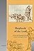 Shepherds of the Lord: Priests and Episcopal Statutes in the Carolingian Period (Cultural Encounters in Late Antiquity and the Middle Ages)