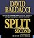 Split Second (Sean King & Michelle Maxwell, #1)