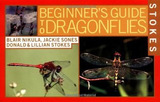 Stokes Beginner's Guide to Dragonflies (Paperback)