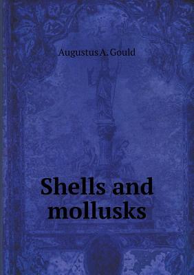 Shells and Mollusks