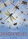 A Dazzle of Dragonflies