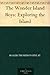 Exploring the Island (The Wonder Island Boys, #2)