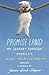 Promise Land by Jessica Lamb-Shapiro