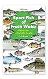 Sport Fish of Fresh Water: All Popular Species I.D. Info, Edibility, How-To Tips