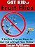 Fruit Flies by Susan  Williams