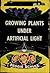 How to Grow Plants Under Artificial Light