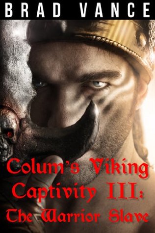The Warrior Slave (Colum's Viking Captivity, #3)