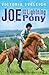Joe and the Lightning Pony ...