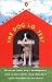 The Dog I.Q. Test