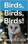Kindle Kids: Birds, Birds, Birds! A Children's Picture Book of Birds: 65 Gorgeous Photos and Lessons About Wildlife (Picture Books for Kids, Children, Toddlers and Babies)