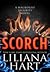 Scorch (The MacKenzie Family, #11) by Liliana Hart