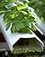 DIY HYDROPONICS: System Buildrs Guide