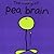 The Story of Pea Brain by Jackie Robb