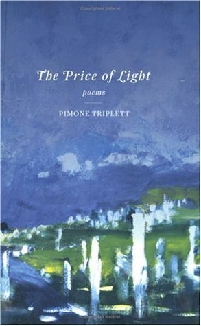 The Price of Light (Paperback)