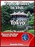 Top 20 Places to Visit in Tokyo, Japan Travel Guide by Amanda Perry
